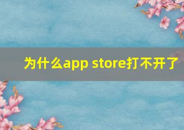 为什么app store打不开了