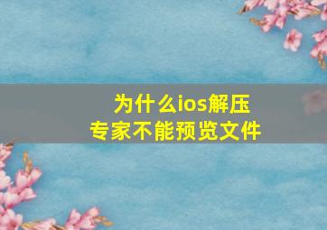 为什么ios解压专家不能预览文件