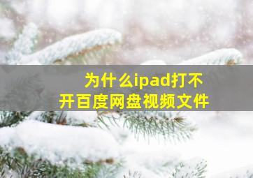 为什么ipad打不开百度网盘视频文件