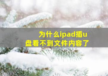 为什么ipad插u盘看不到文件内容了