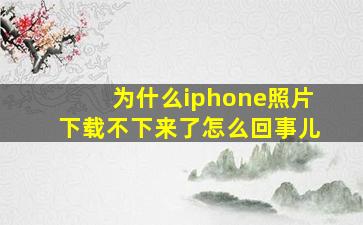 为什么iphone照片下载不下来了怎么回事儿