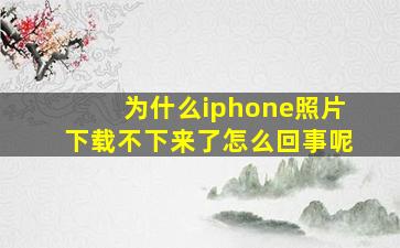 为什么iphone照片下载不下来了怎么回事呢