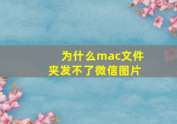 为什么mac文件夹发不了微信图片