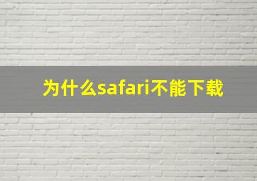 为什么safari不能下载