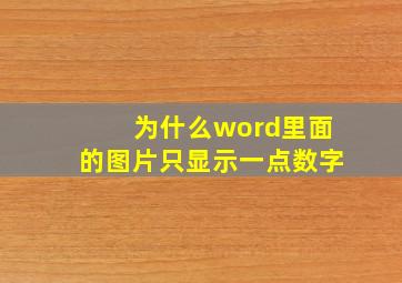 为什么word里面的图片只显示一点数字