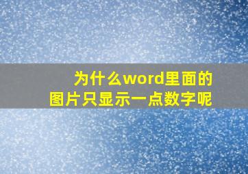 为什么word里面的图片只显示一点数字呢