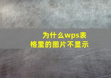 为什么wps表格里的图片不显示