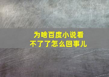 为啥百度小说看不了了怎么回事儿