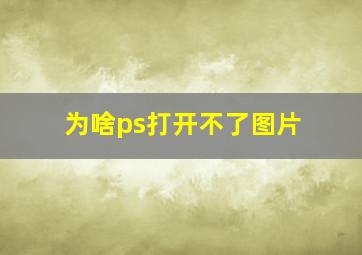 为啥ps打开不了图片