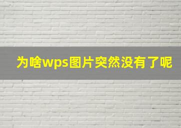 为啥wps图片突然没有了呢