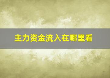 主力资金流入在哪里看