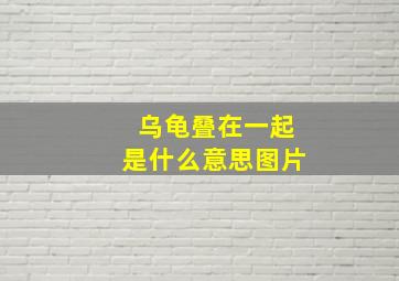 乌龟叠在一起是什么意思图片