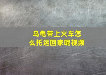 乌龟带上火车怎么托运回家呢视频