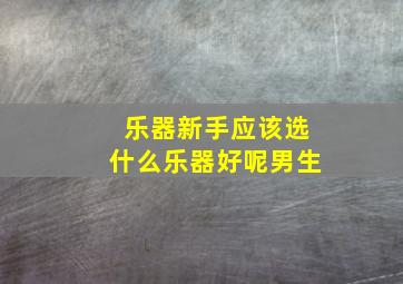 乐器新手应该选什么乐器好呢男生