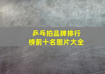 乒乓拍品牌排行榜前十名图片大全