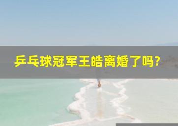 乒乓球冠军王皓离婚了吗?