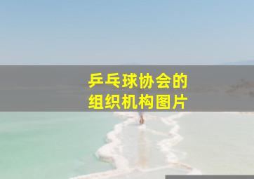 乒乓球协会的组织机构图片