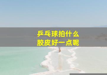 乒乓球拍什么胶皮好一点呢