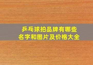 乒乓球拍品牌有哪些名字和图片及价格大全