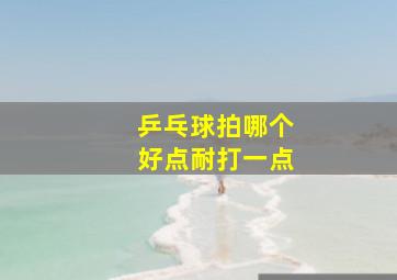 乒乓球拍哪个好点耐打一点