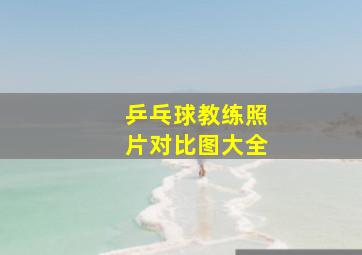 乒乓球教练照片对比图大全