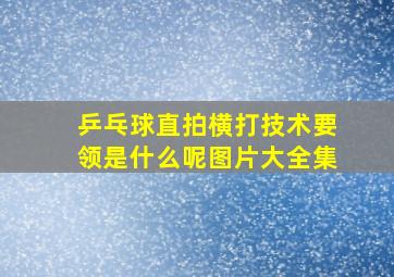 乒乓球直拍横打技术要领是什么呢图片大全集