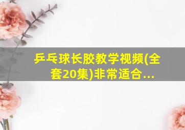 乒乓球长胶教学视频(全套20集)非常适合...