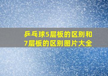 乒乓球5层板的区别和7层板的区别图片大全