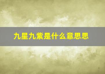 九星九紫是什么意思思