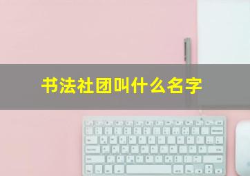 书法社团叫什么名字