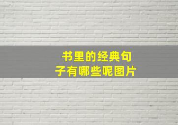 书里的经典句子有哪些呢图片