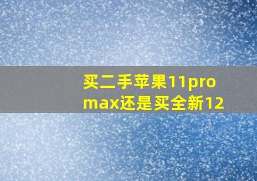 买二手苹果11promax还是买全新12