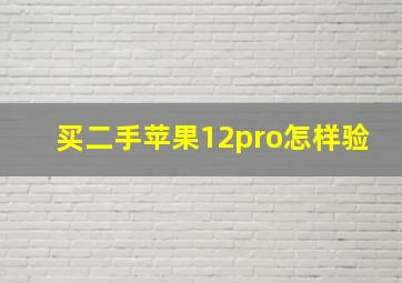 买二手苹果12pro怎样验