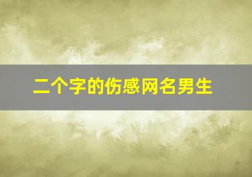 二个字的伤感网名男生