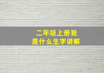 二年级上册我是什么生字讲解