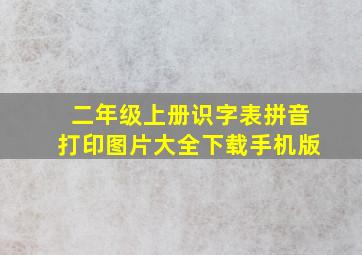 二年级上册识字表拼音打印图片大全下载手机版