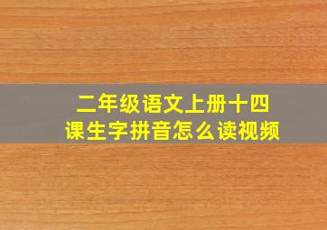 二年级语文上册十四课生字拼音怎么读视频