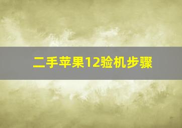 二手苹果12验机步骤