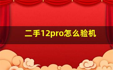 二手12pro怎么验机