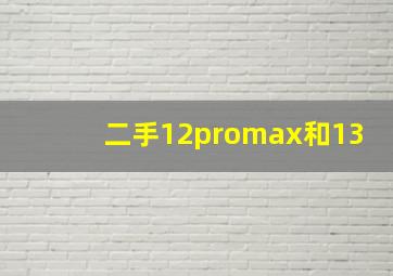 二手12promax和13