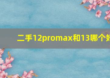 二手12promax和13哪个好