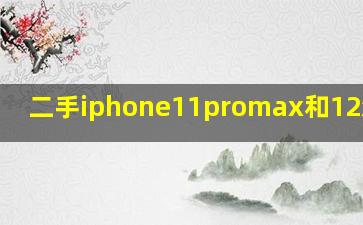 二手iphone11promax和12怎么选