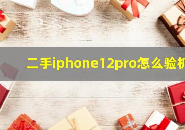 二手iphone12pro怎么验机