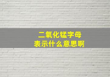 二氧化锰字母表示什么意思啊