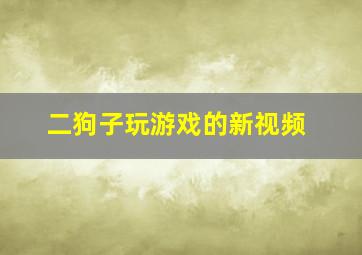 二狗子玩游戏的新视频