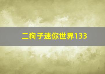 二狗子迷你世界133