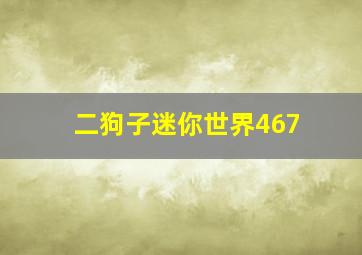 二狗子迷你世界467