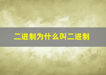 二进制为什么叫二进制