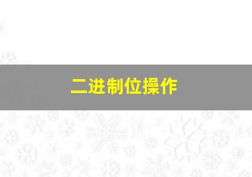 二进制位操作