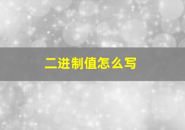 二进制值怎么写